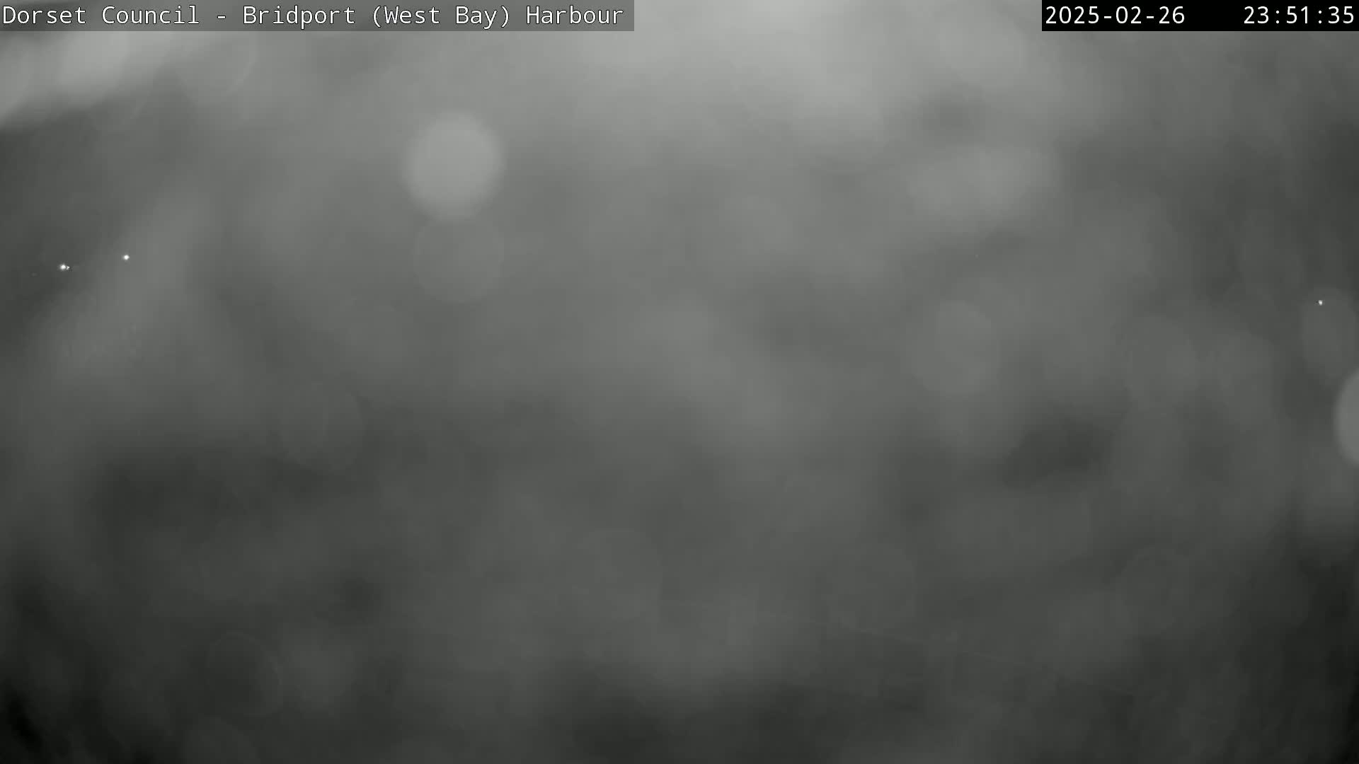 A blurry, gray image shows a foggy or hazy outdoor scene at night.