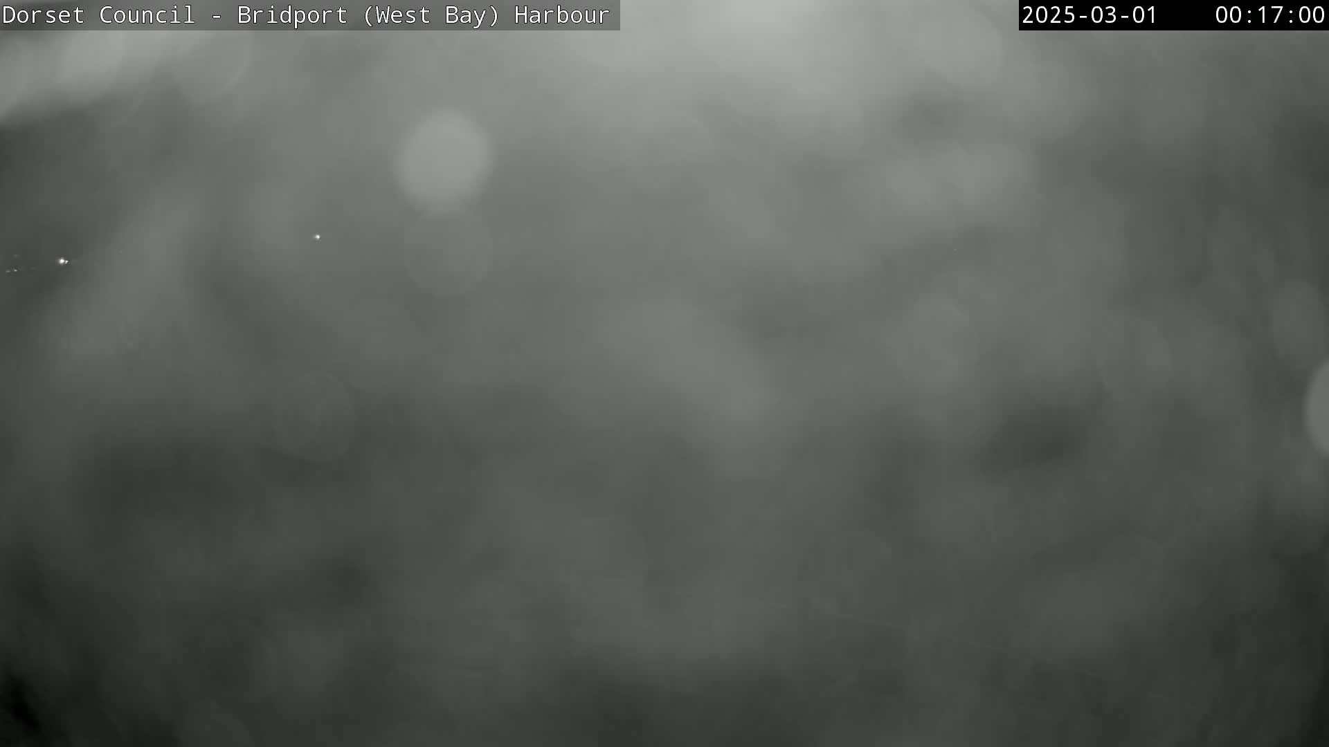 A blurry, gray image shows an overcast night scene.