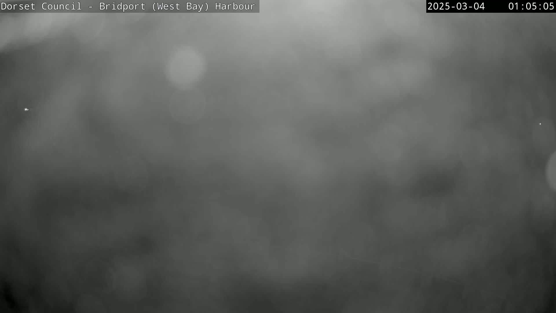 A blurry, gray image shows a foggy or misty outdoor scene at night.