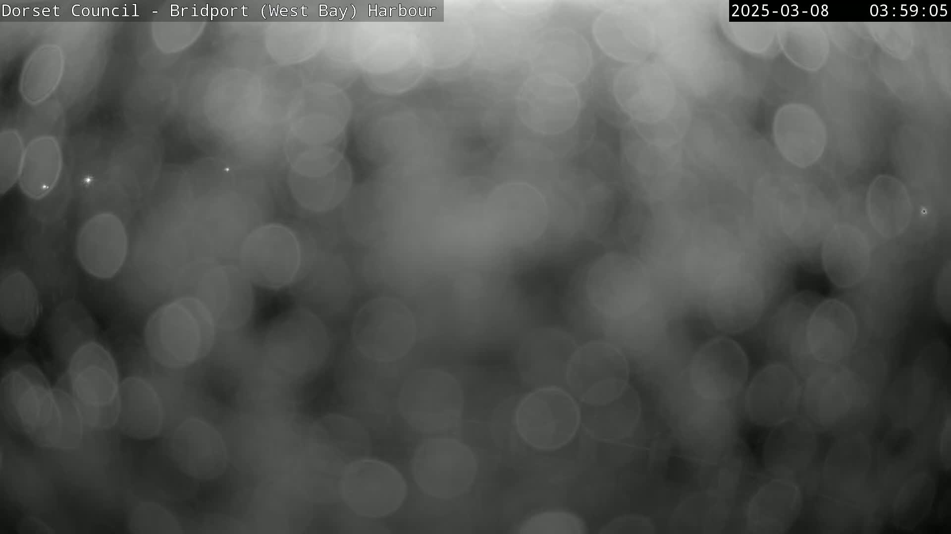 A blurry, grayscale image shows many out-of-focus, circular light sources on a dark background.