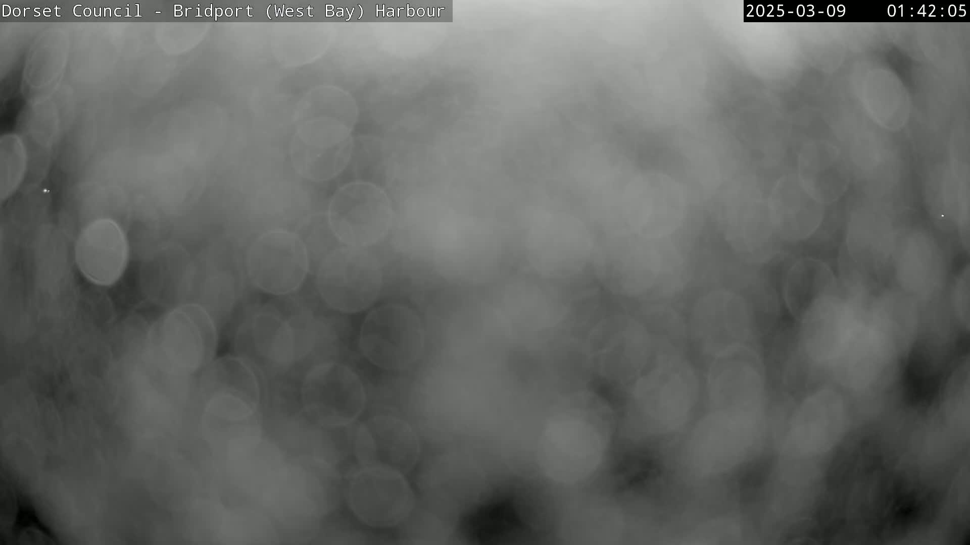 A blurry, out-of-focus grayscale image shows numerous indistinct circular shapes suggesting heavy rain or fog.
