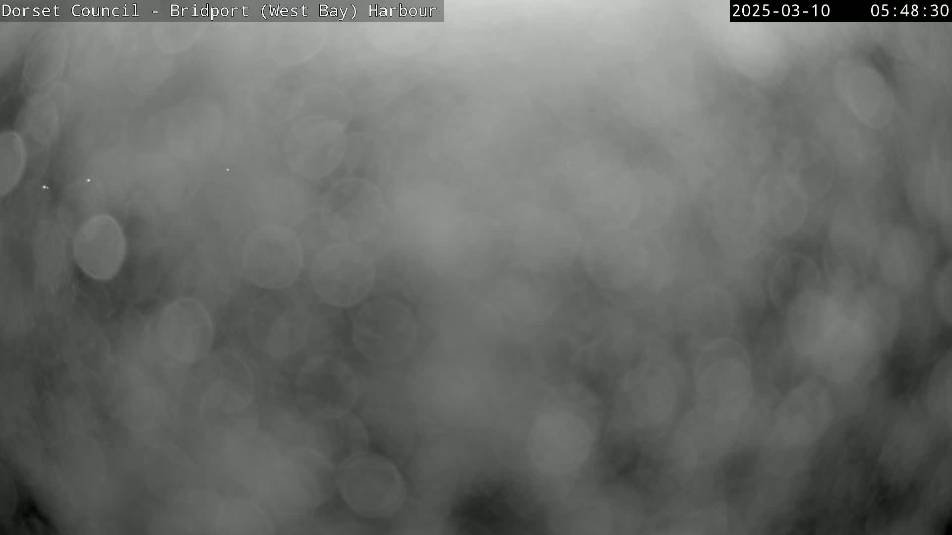 A blurry, grayscale image shows a foggy or misty outdoor scene.