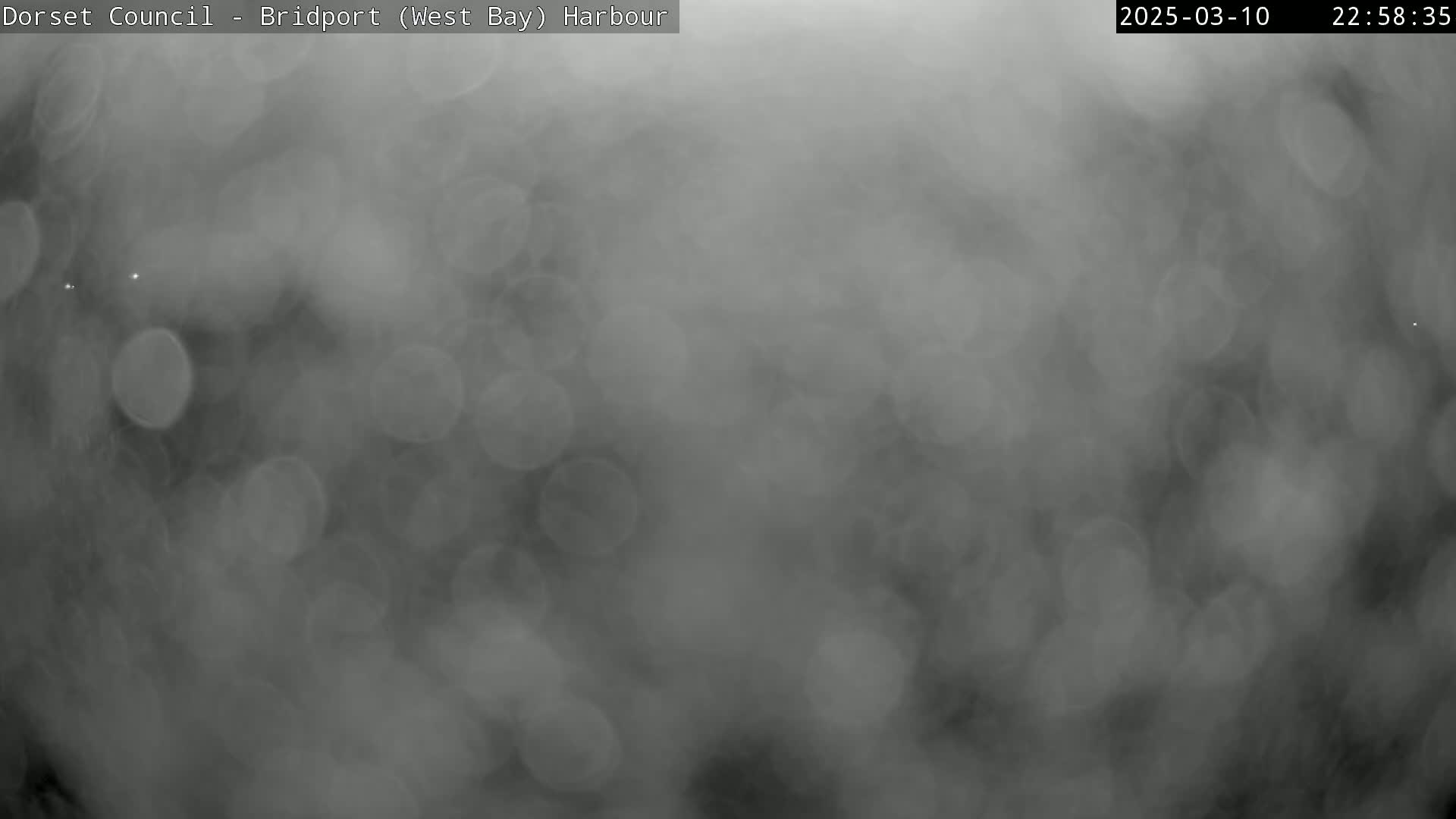 A blurry, grayscale image shows an overcast night scene with indistinct shapes and out-of-focus lights.