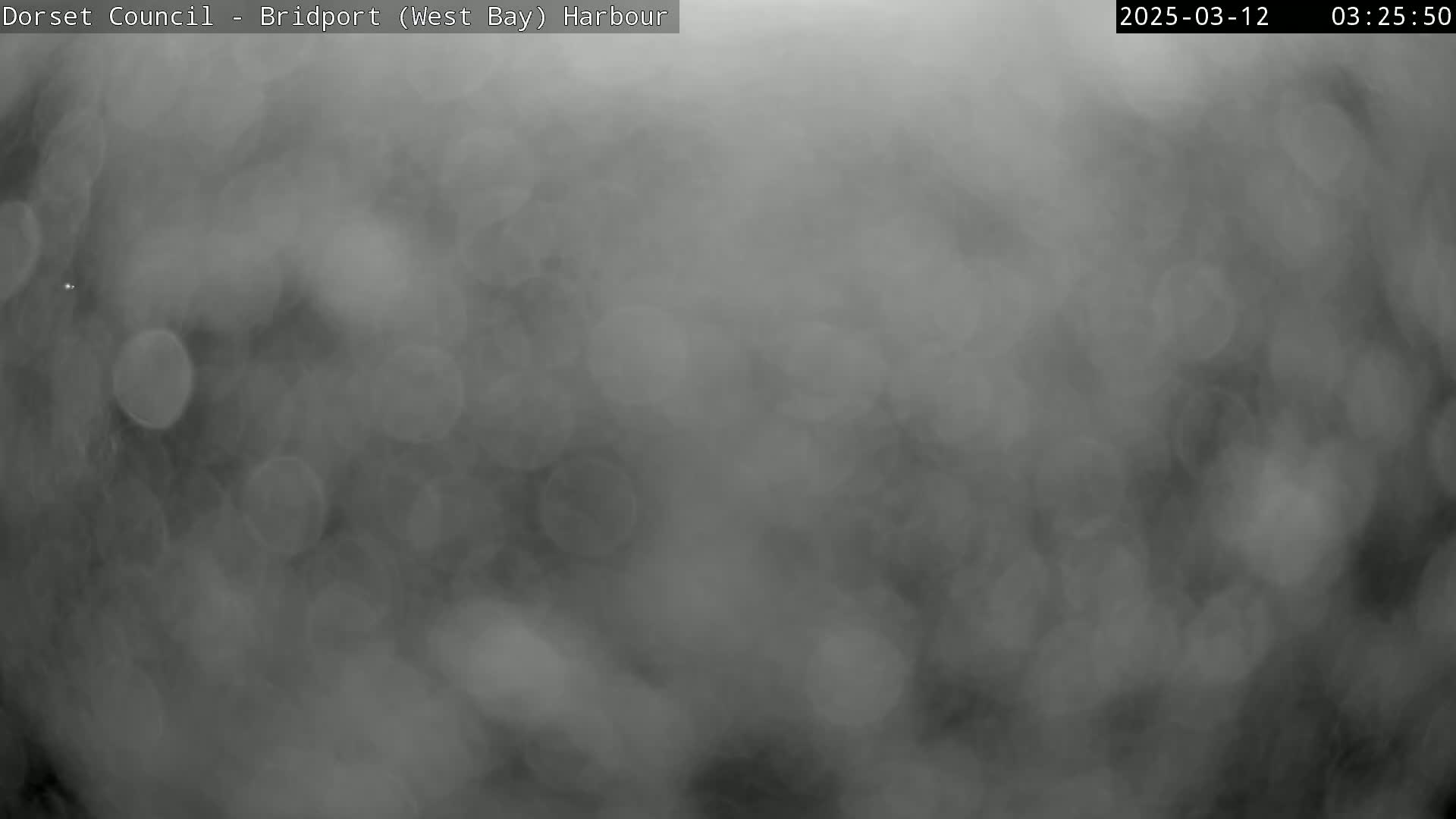 A blurry, grayscale image shows a foggy or misty scene outdoors.