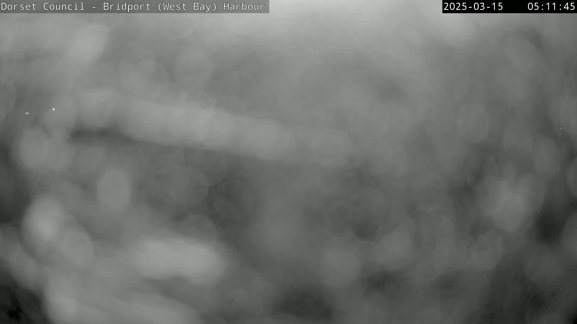 A blurry, grayscale image shows a very foggy or cloudy scene outdoors.