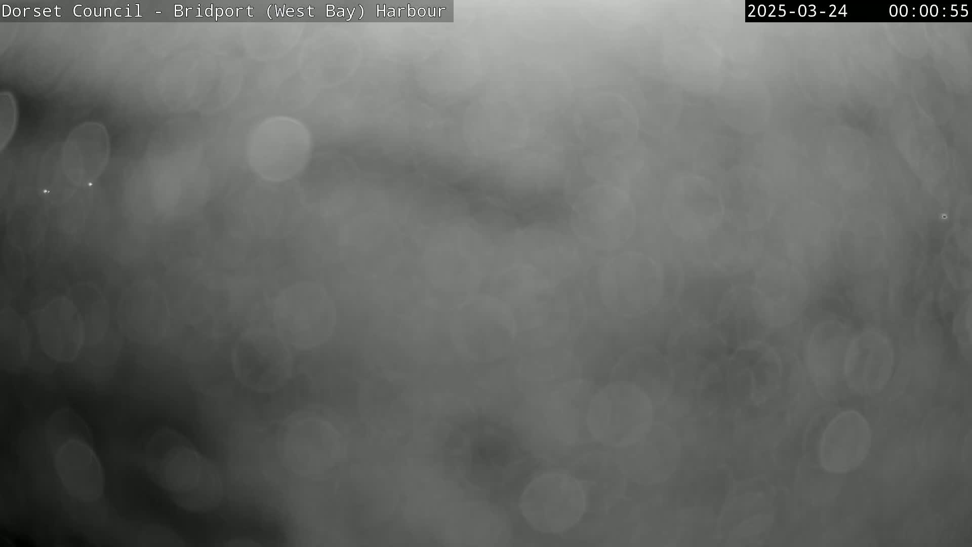 A blurry, grayscale image shows an overcast harbor scene with indistinct shapes and out-of-focus light sources.