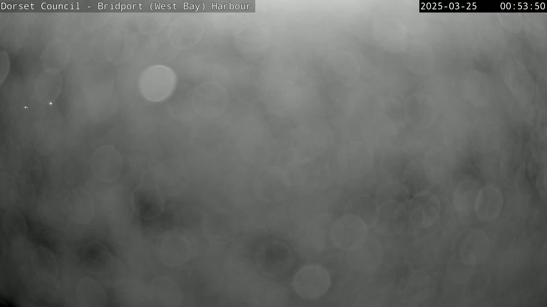 A blurry, dark gray image shows a hazy, possibly foggy or rainy, outdoor scene at night.