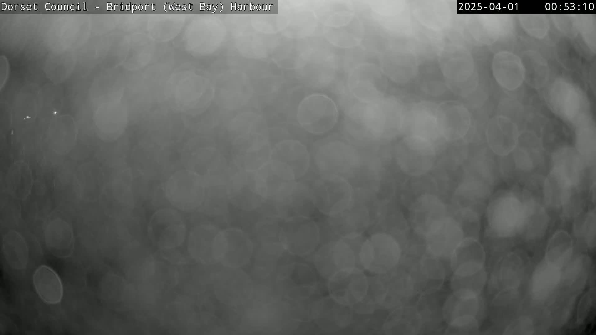 A blurry, gray image shows many out-of-focus light sources, suggesting nighttime and possibly foggy or rainy weather conditions.