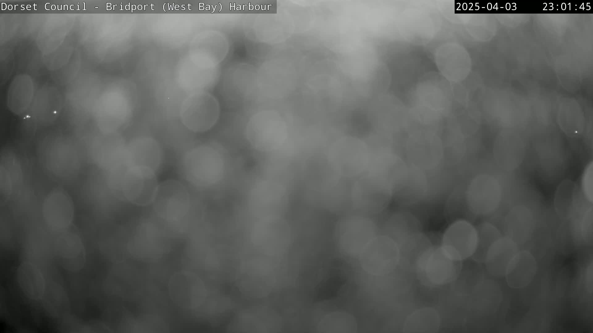 A blurry, grayscale image shows an out-of-focus nighttime scene with rain or fog.