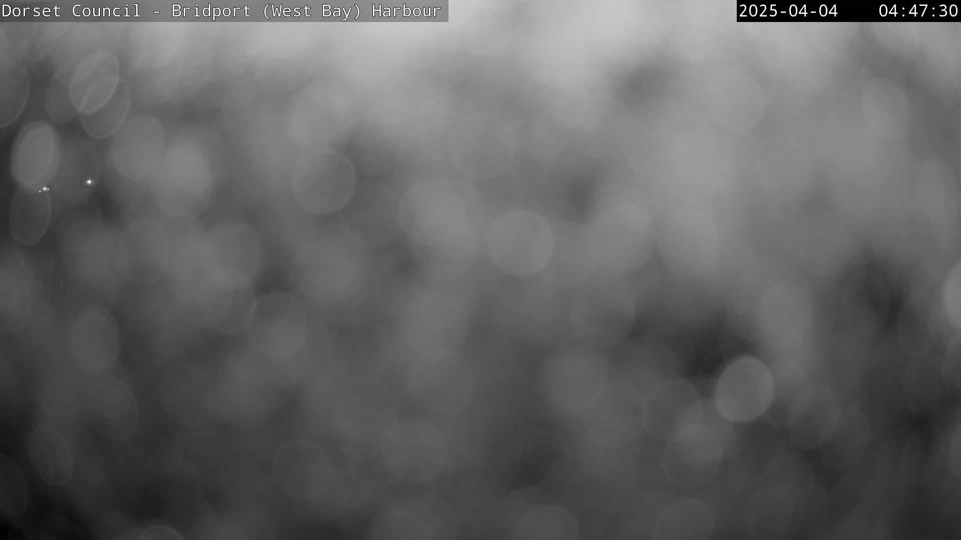 A blurry, out-of-focus grayscale image shows a hazy or foggy outdoor scene with numerous light orbs.