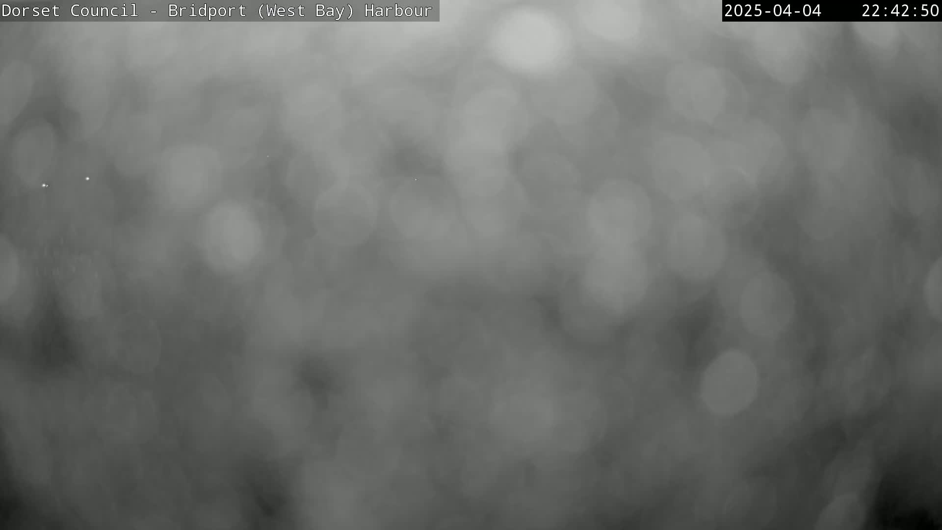 A blurry, grayscale image shows a hazy or foggy night scene.