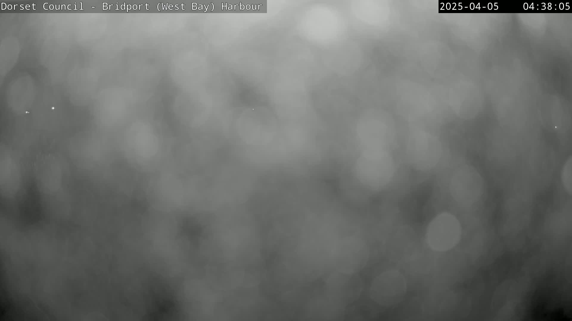 A blurry, grayscale image shows a foggy or hazy outdoor scene.