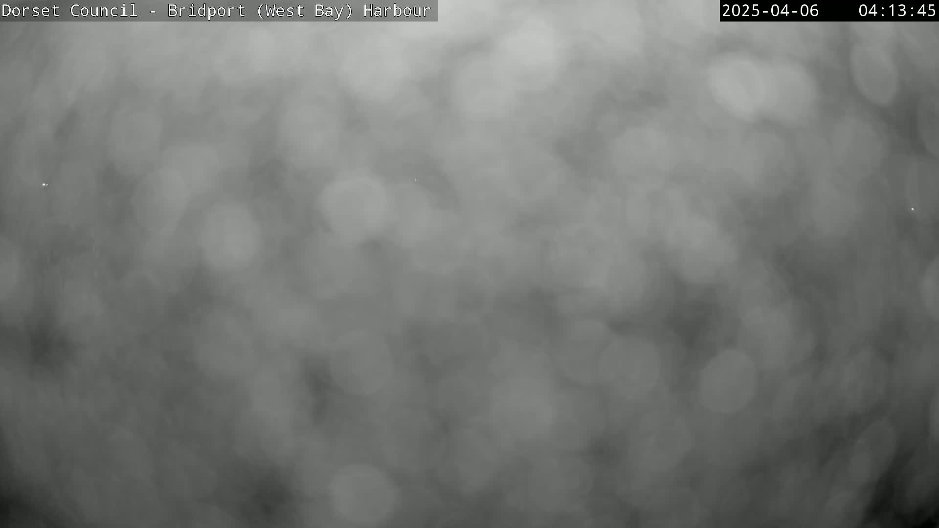 A blurry, grayscale image shows a foggy or hazy outdoor scene.