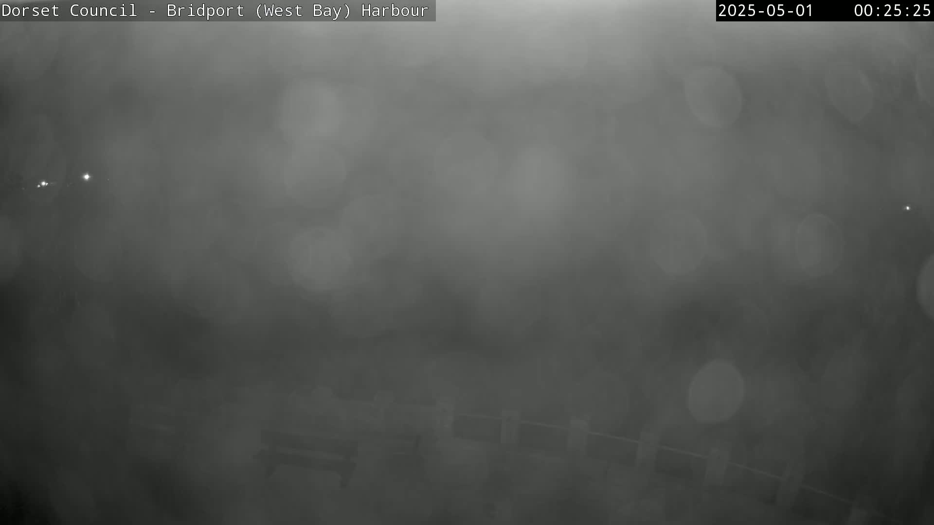 A nighttime harbor scene is obscured by heavy fog or mist.