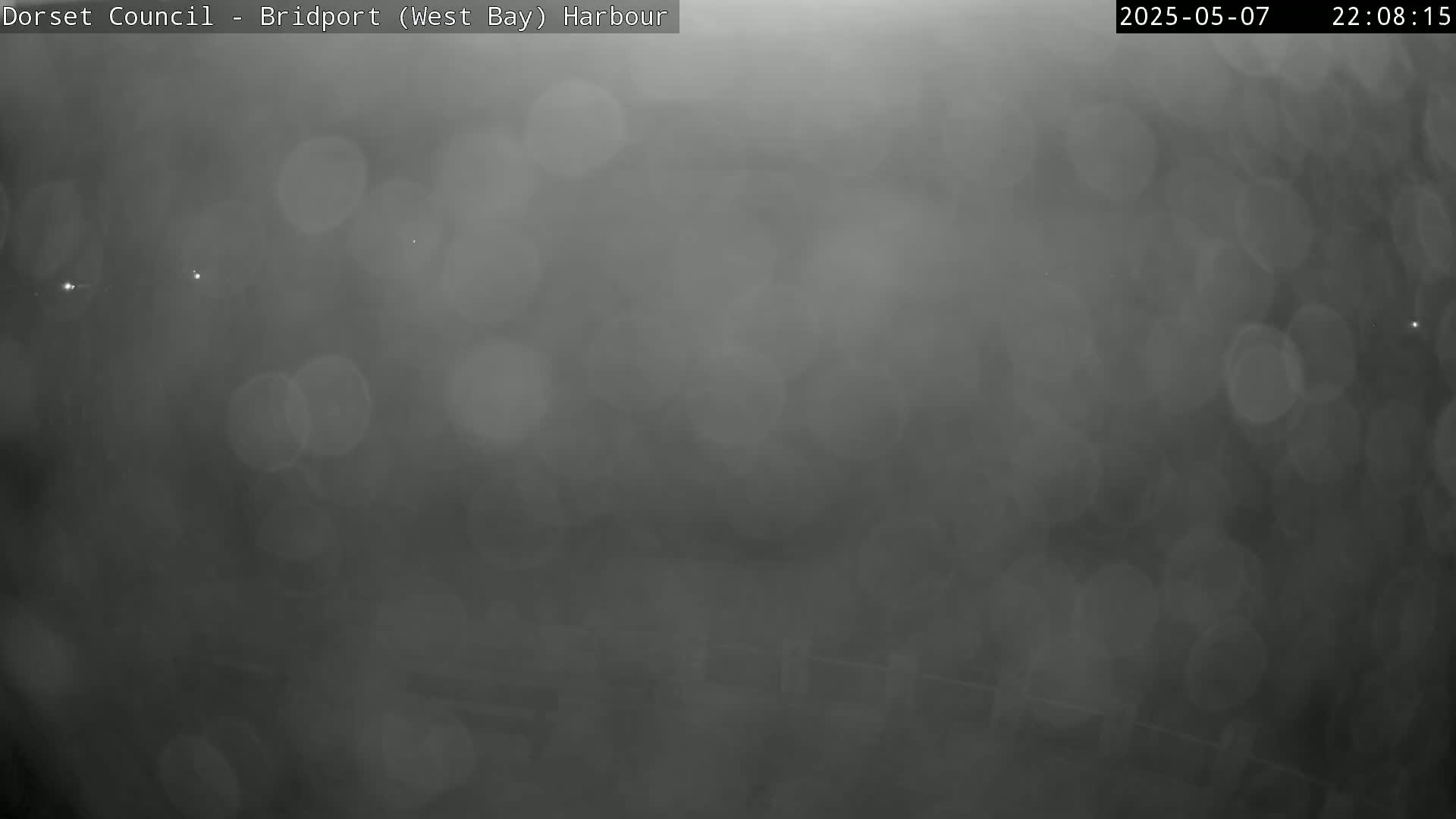 A blurry, nighttime harbor scene is obscured by heavy fog or mist.