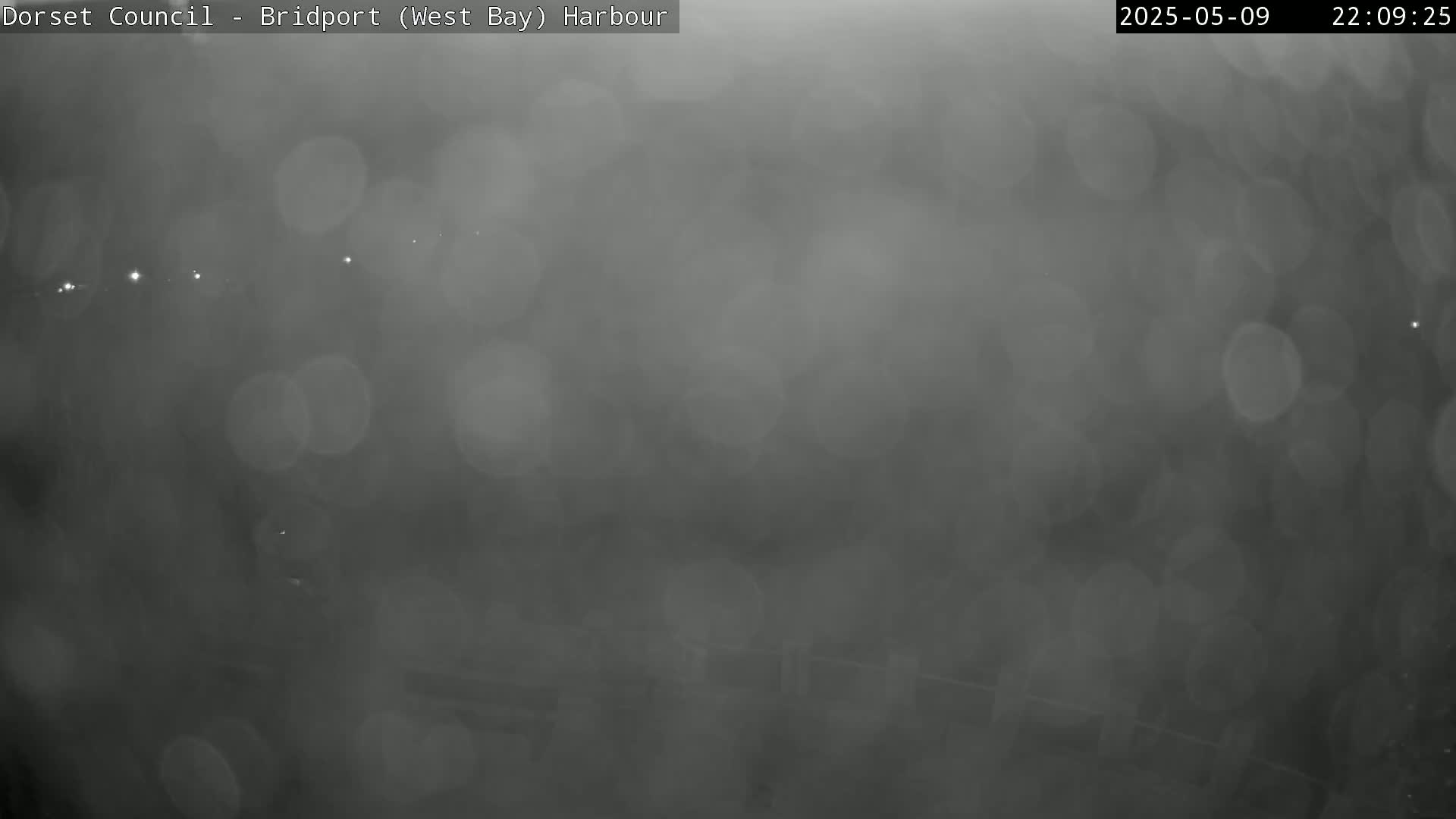 A blurry, dark grey image shows a nighttime harbor scene obscured by heavy rain or fog.
