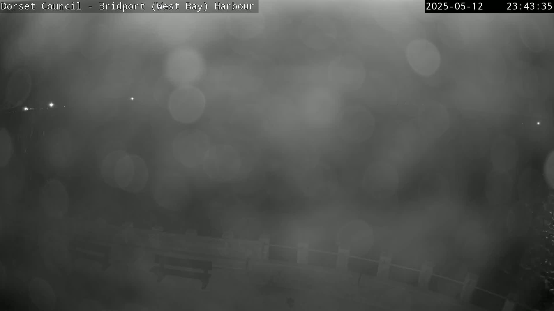 A blurry, nighttime image shows a harbor shrouded in heavy fog or mist.