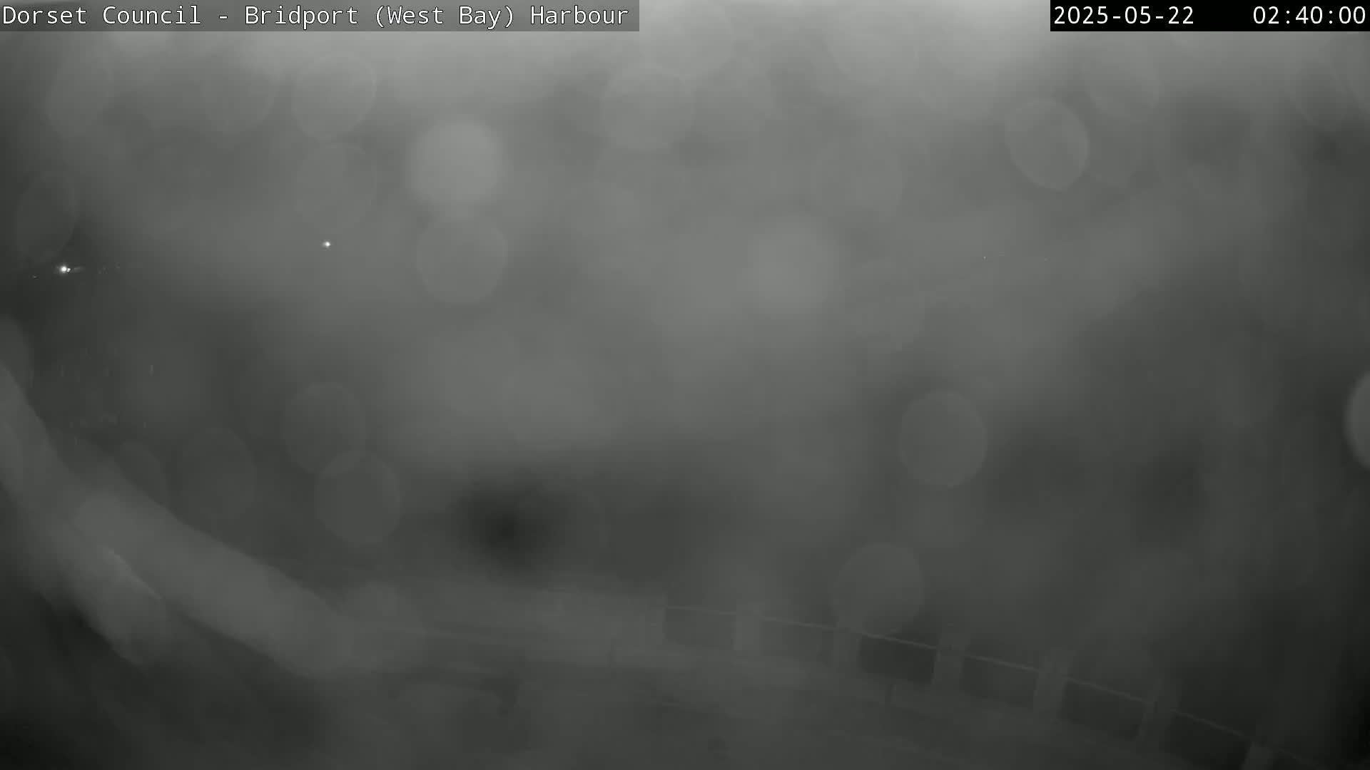 A blurry, dark gray image shows an outdoor scene shrouded in heavy fog or mist at night.