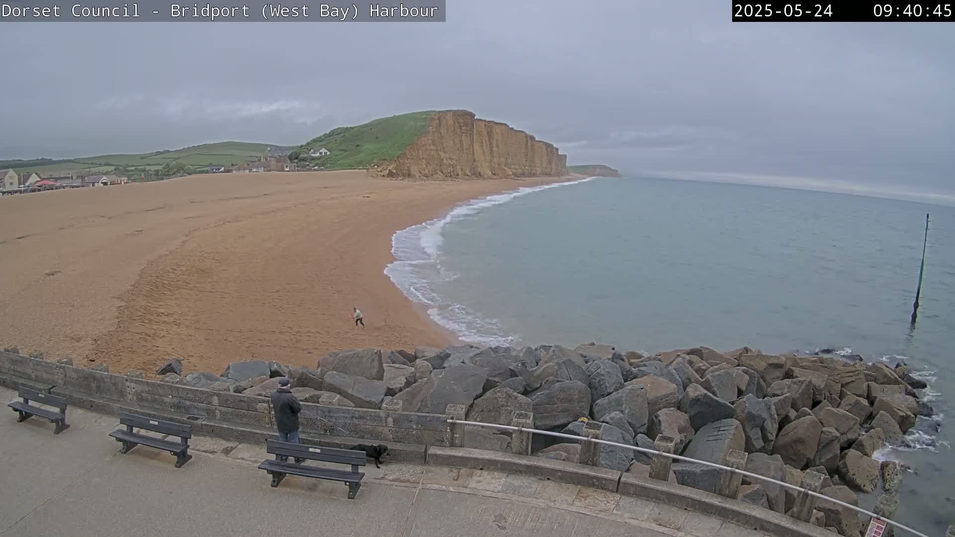 A sandy beach curves along a coastline under an overcast sky, with a person and dog visible near a rocky seawall.