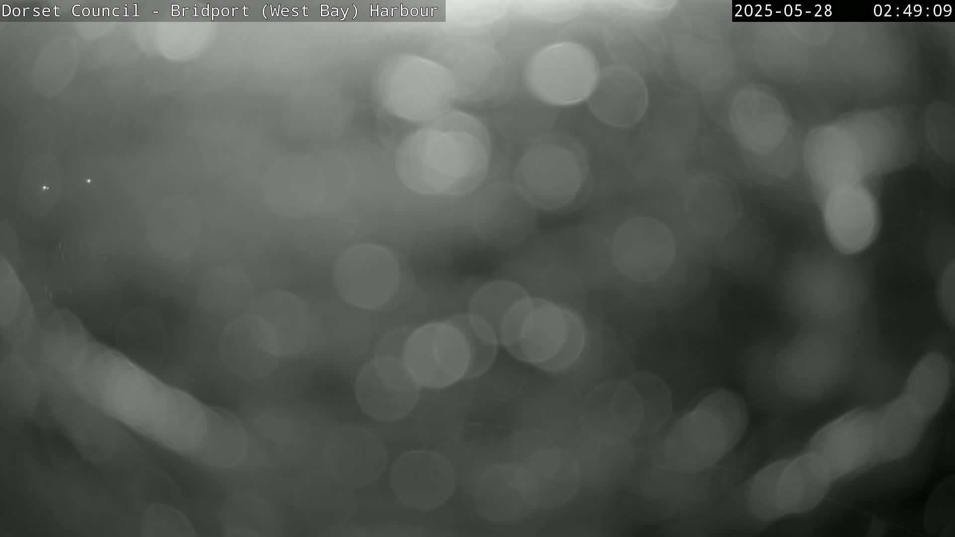 A blurry, grayscale image shows out-of-focus light sources in foggy or misty conditions.