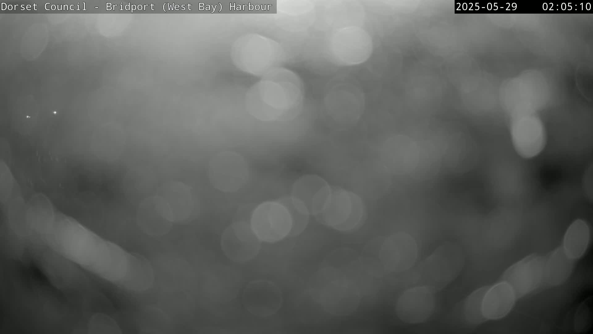 A blurry, out-of-focus grayscale image shows a foggy or misty scene with indistinct shapes and bright spots of light.