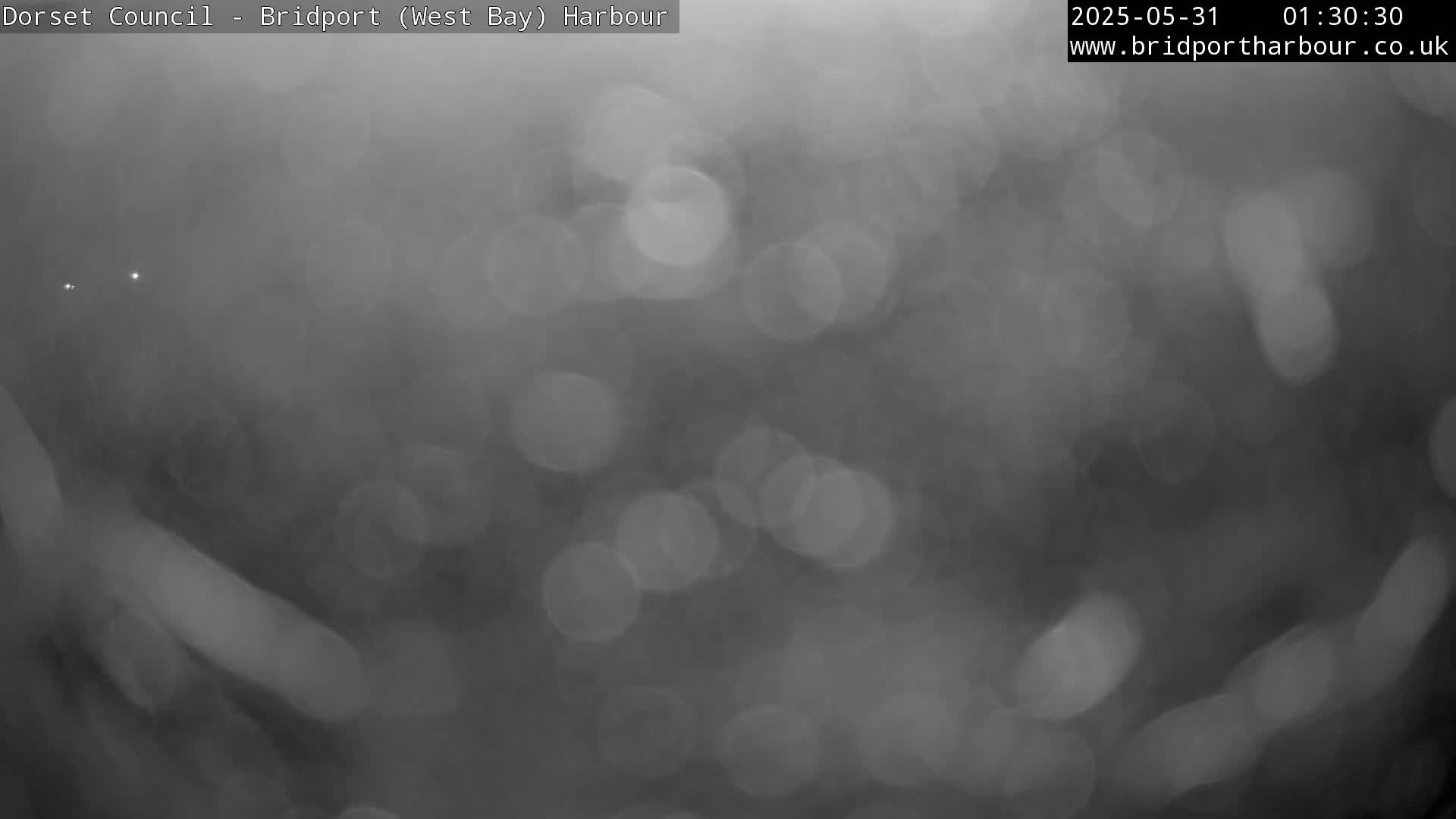 A blurry, out-of-focus grayscale image shows a foggy or misty scene.