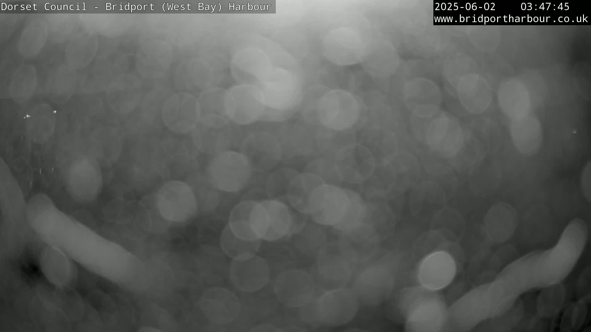 A blurry, grayscale image shows out-of-focus lights resembling bokeh.