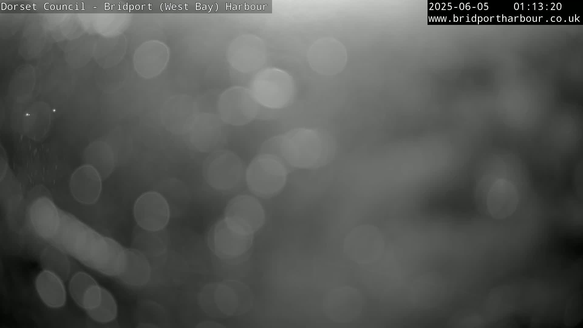 A blurry, out-of-focus grayscale image shows rain falling on a dark, indistinct background.