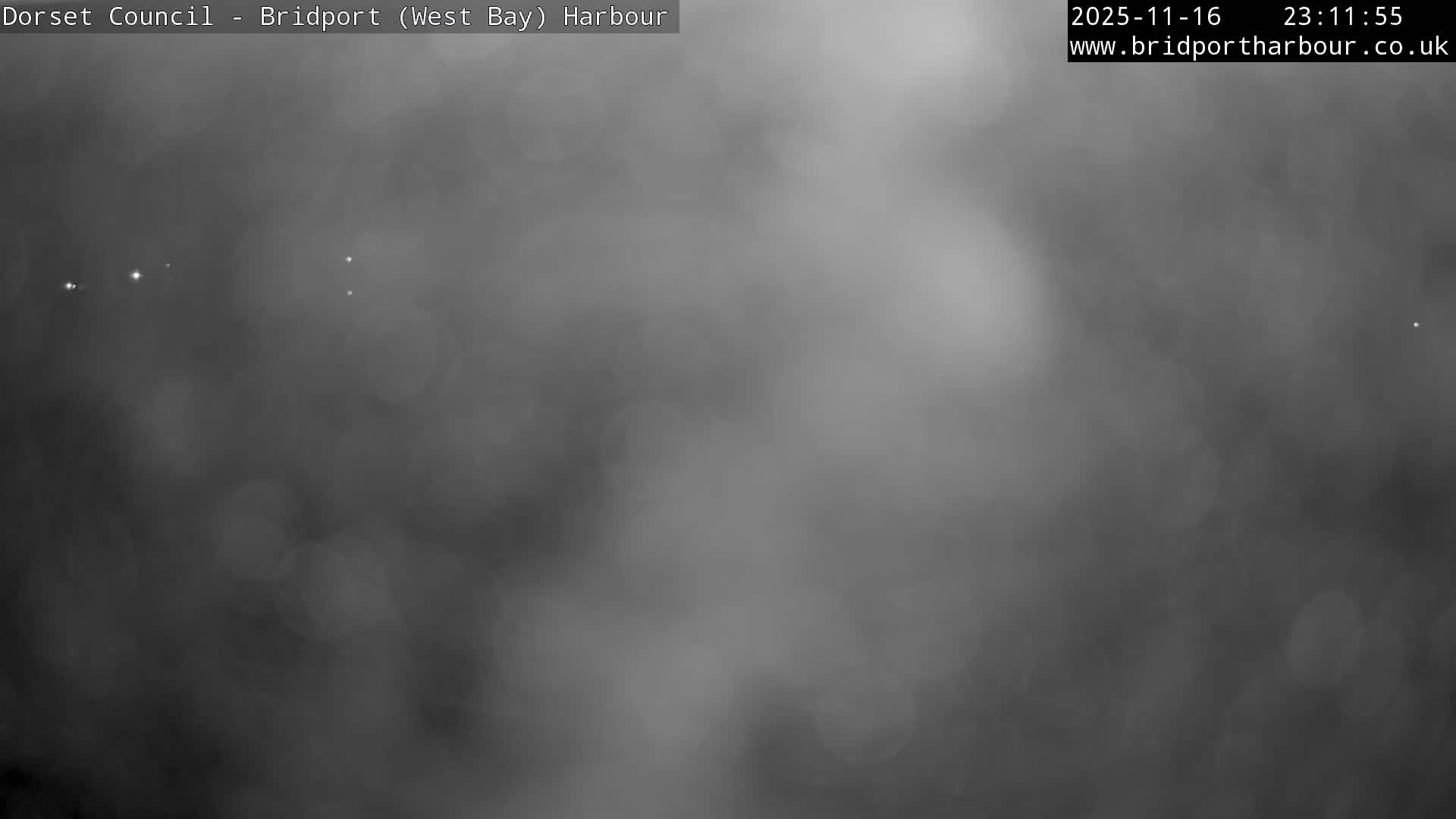 An extremely dark and blurry, monochromatic outdoor scene with exceptionally low visibility, indicative of a very foggy or misty night with only a few faint, distant lights visible in the upper left.