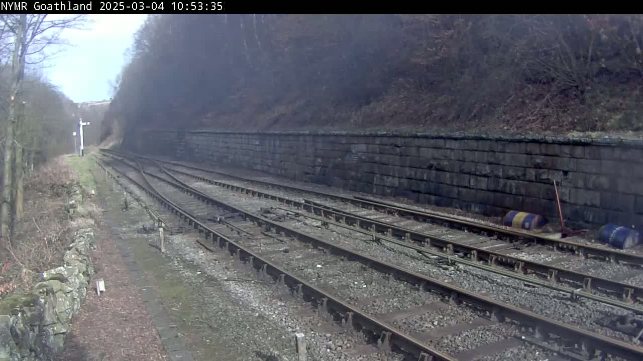A view of multiple train tracks curving through a wooded area on an overcast day, with a stone retaining wall alongside.