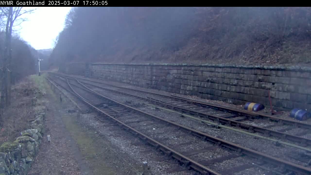 A foggy view of railway tracks alongside a stone wall, bordered by trees and brush.