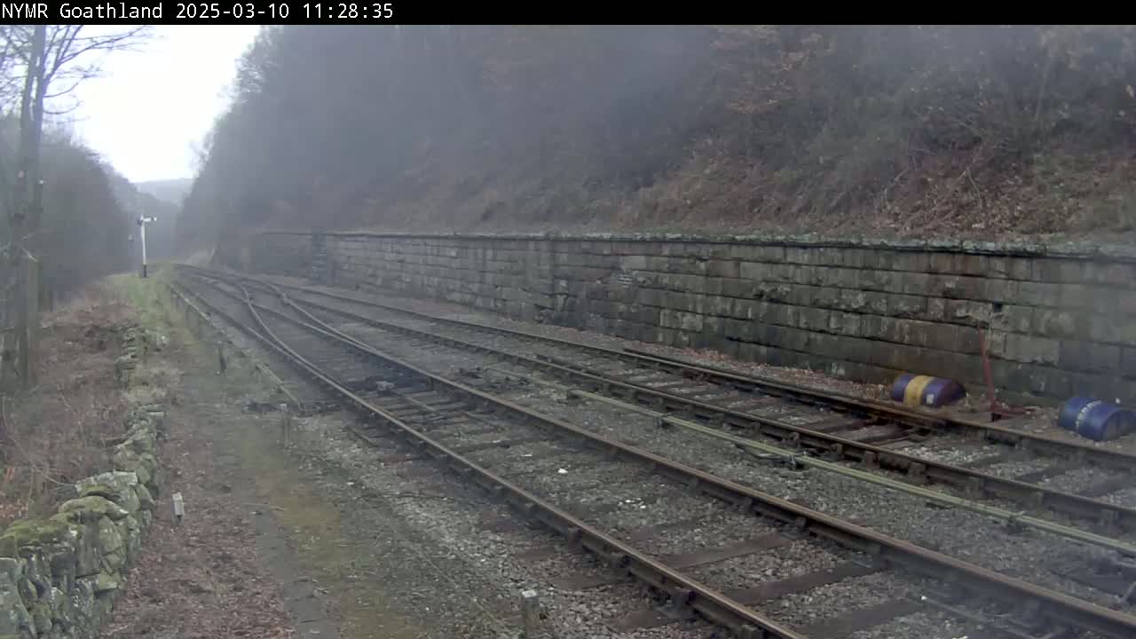 A foggy view of multiple train tracks winding through a wooded area alongside a stone wall.
