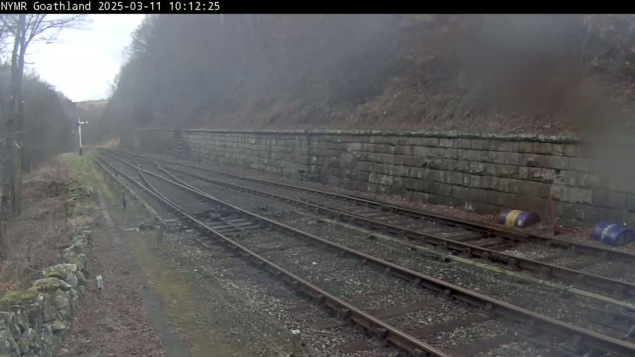 A foggy view of several train tracks alongside a stone wall, with trees and brush in the background.