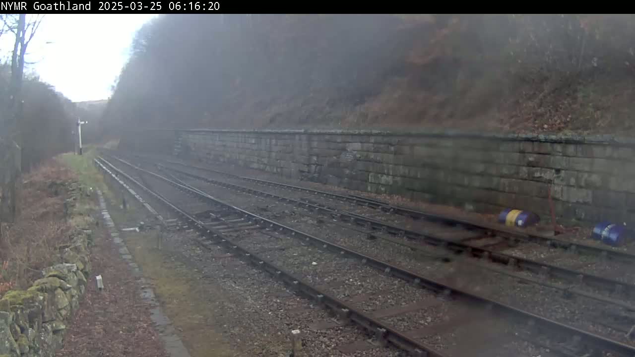 Multiple train tracks run alongside a stone wall in foggy conditions, with overgrown vegetation visible on either side.