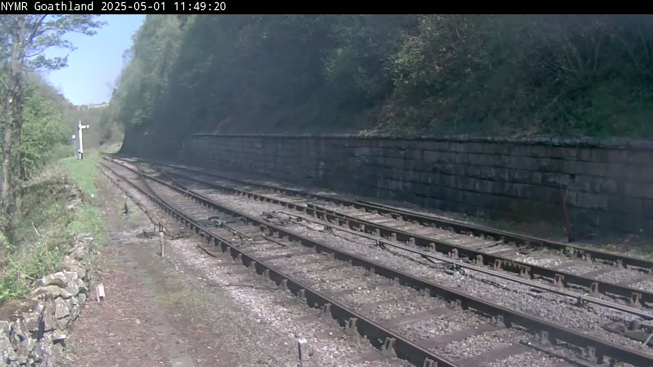 Multiple train tracks curve through a sunny, wooded area alongside a stone retaining wall.