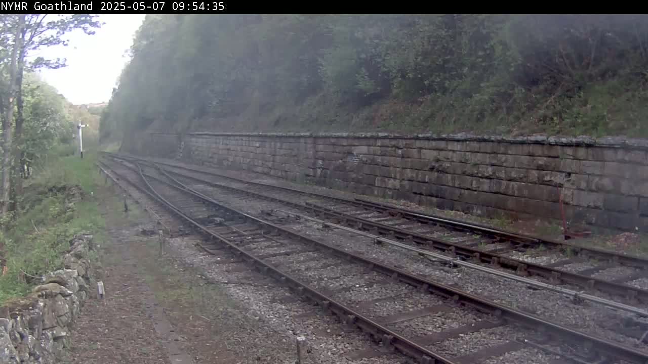 Multiple train tracks wind through a misty, green landscape alongside a stone wall.