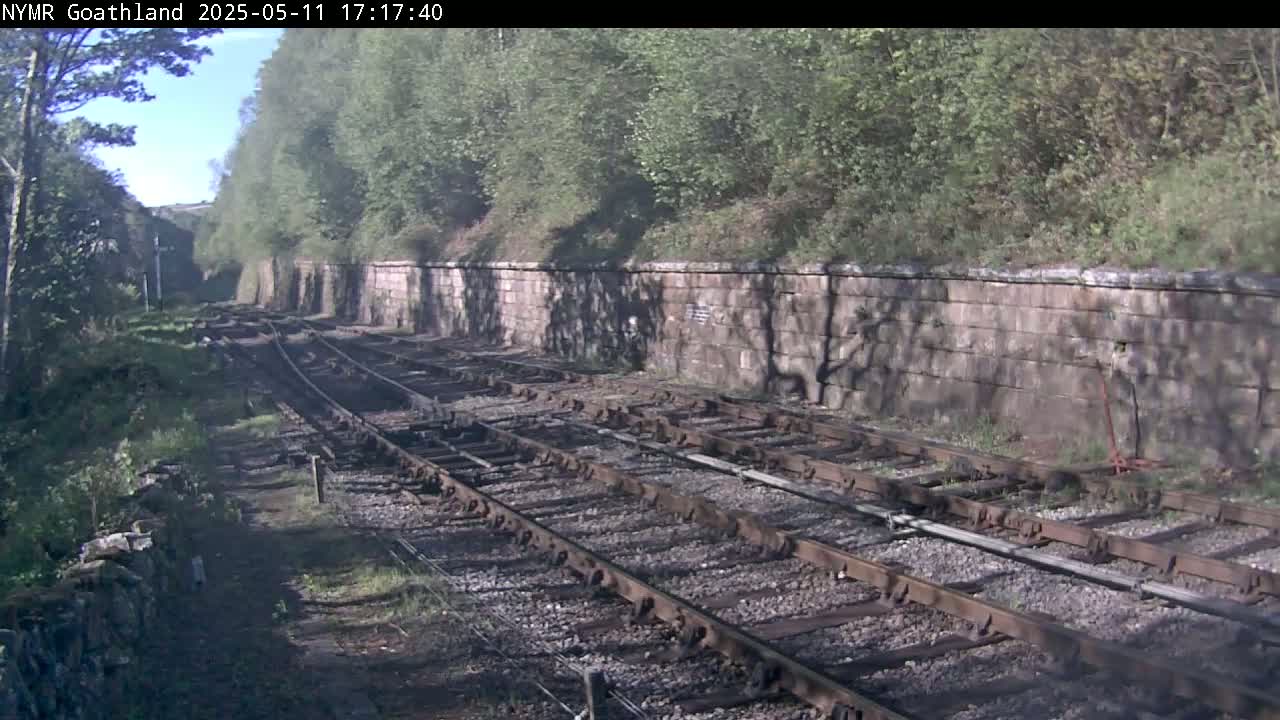 Multiple train tracks curve gently through a sunny, wooded area alongside a low stone wall.