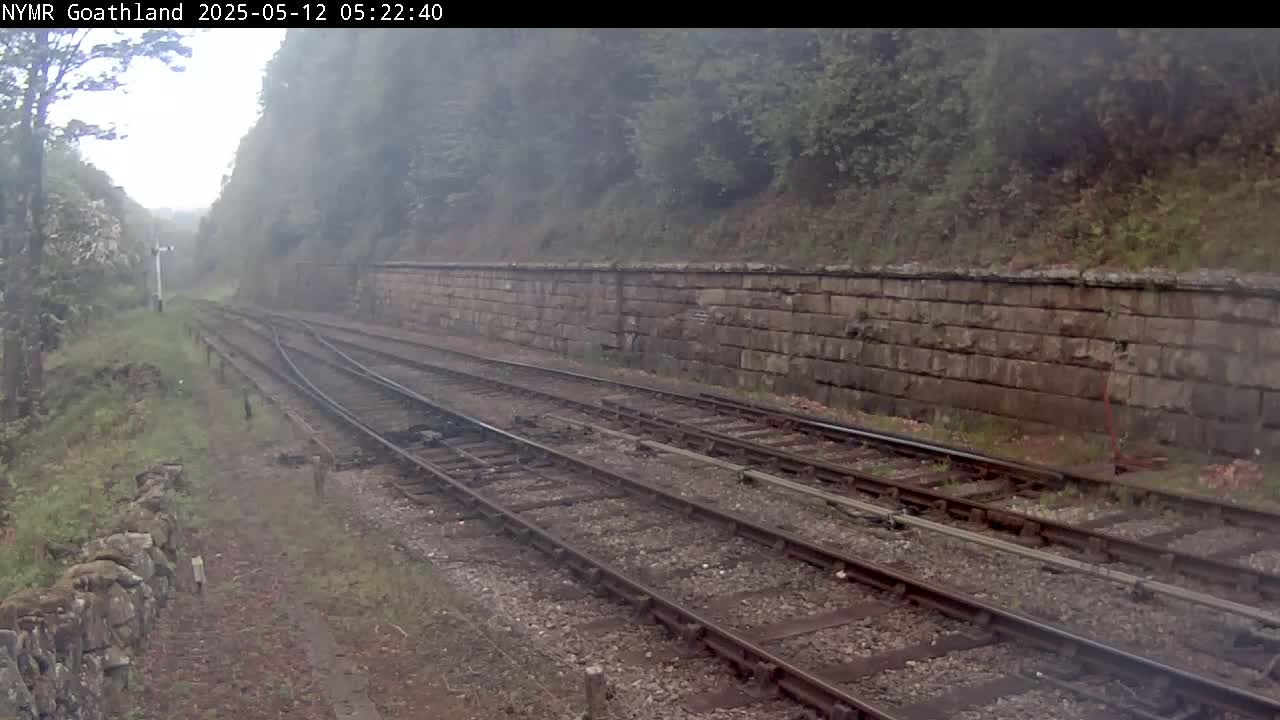 Multiple train tracks wind through a misty landscape, alongside a stone wall and lush green vegetation.