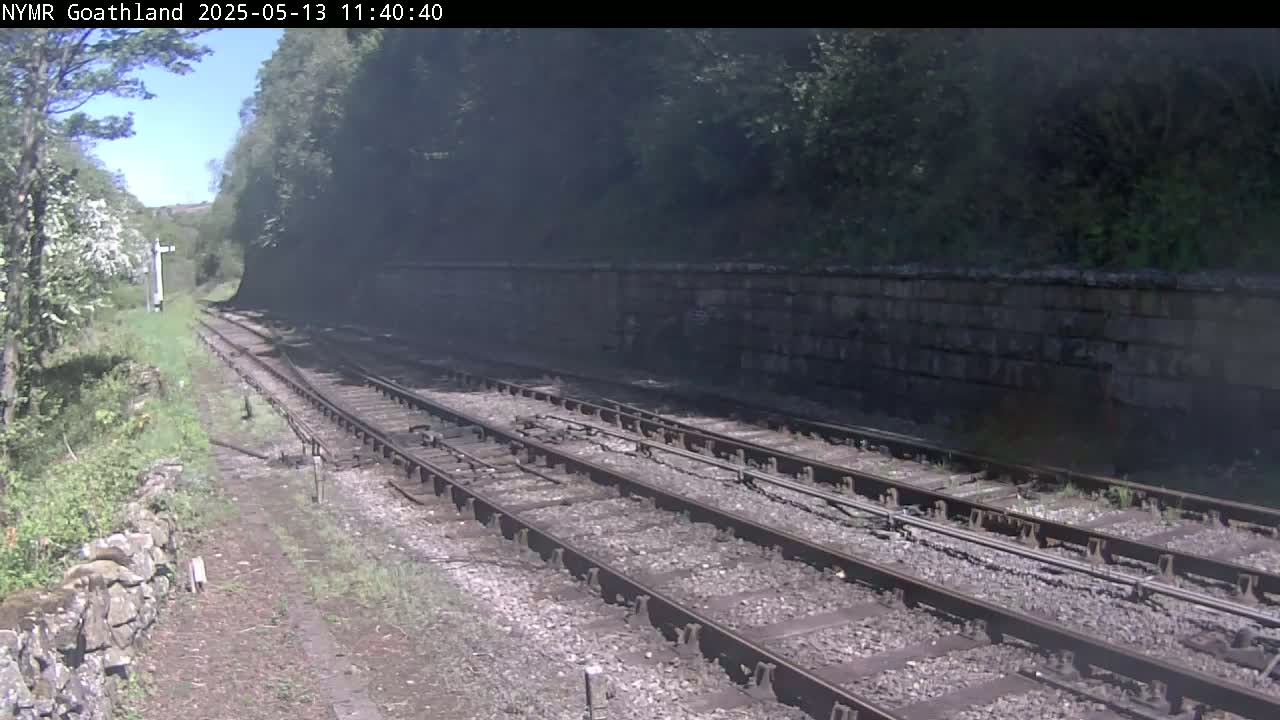 A sunny view of multiple train tracks running alongside a stone wall, bordered by green vegetation.