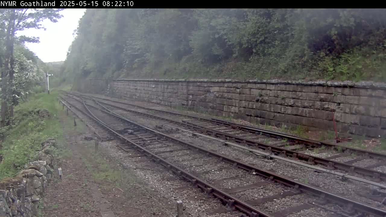 A view of a railway track with a stone retaining wall and lush greenery on an overcast day.