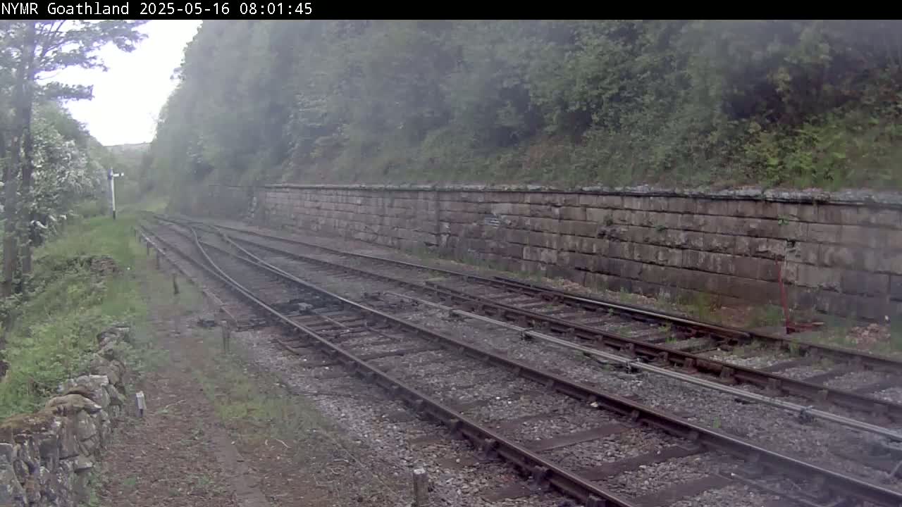 Multiple train tracks curve through a misty landscape alongside a low stone wall and lush green vegetation.