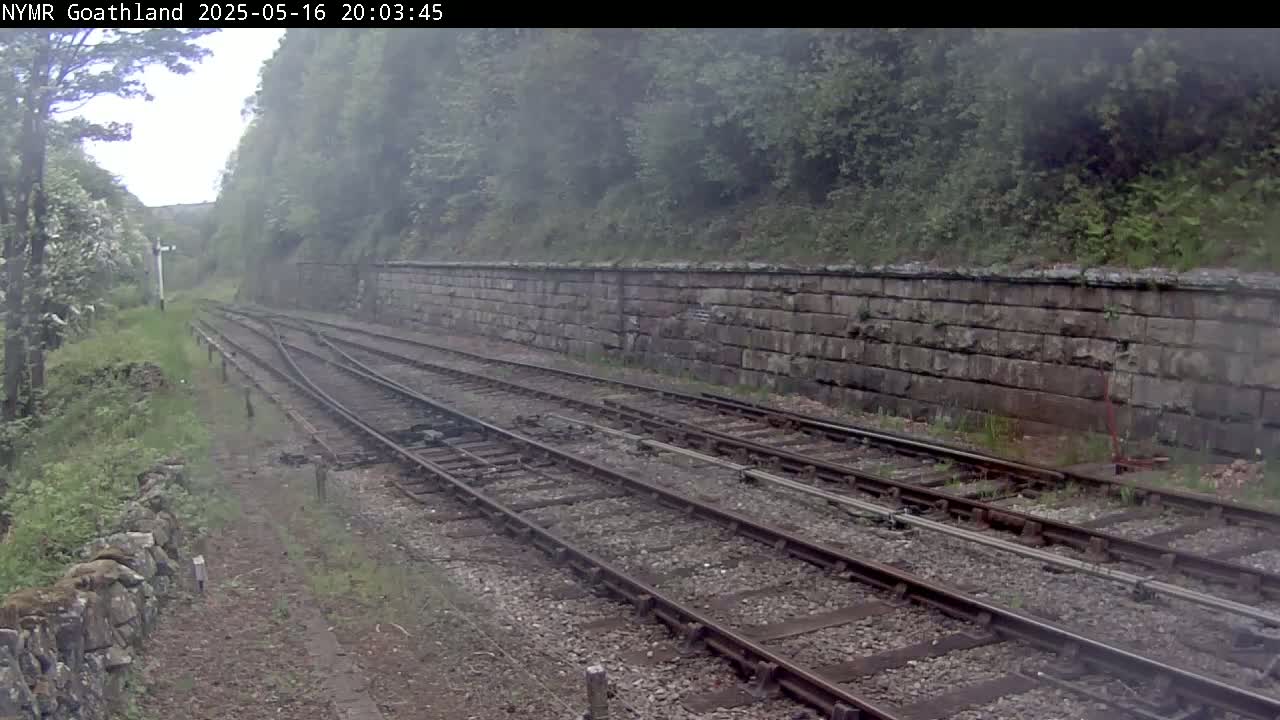 Multiple train tracks diverge alongside a stone retaining wall, bordered by lush green vegetation under an overcast sky.