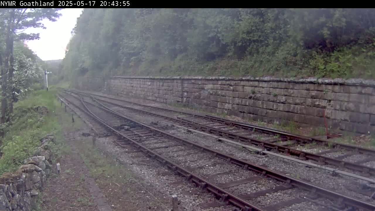 A misty view of multiple train tracks curving around a stone wall, bordered by lush green vegetation.