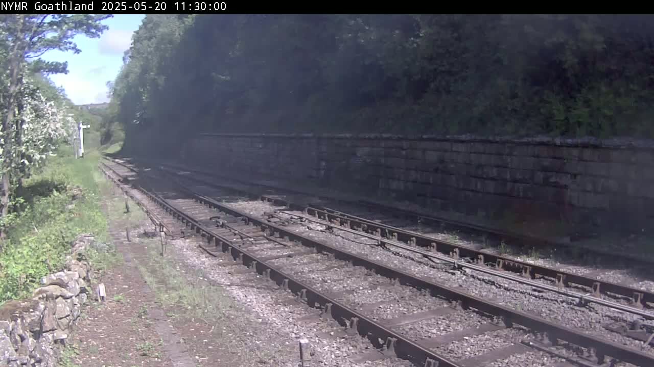 Two sets of train tracks extend into a sunny, wooded area, alongside a low stone wall.