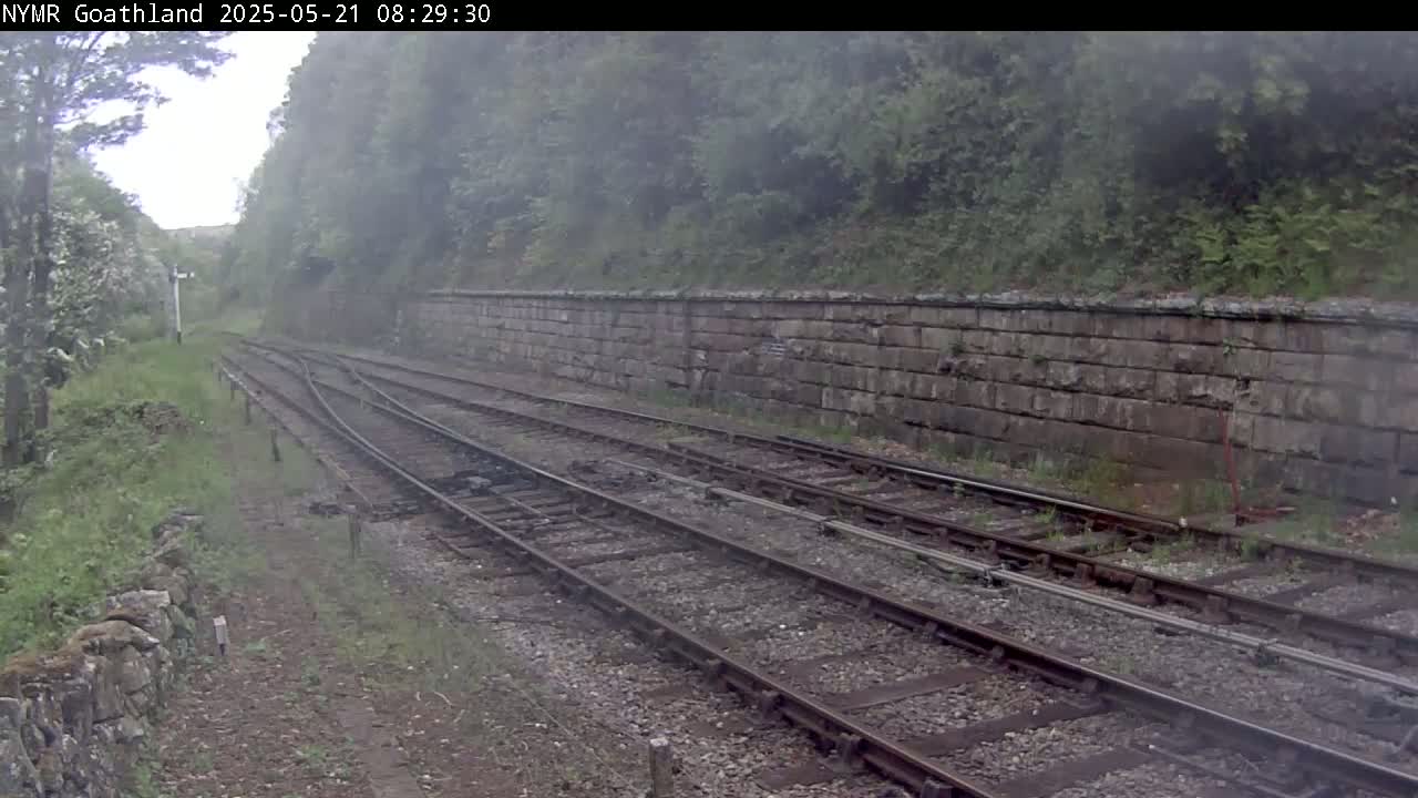 Multiple train tracks wind through a misty landscape alongside a stone wall and lush green vegetation.