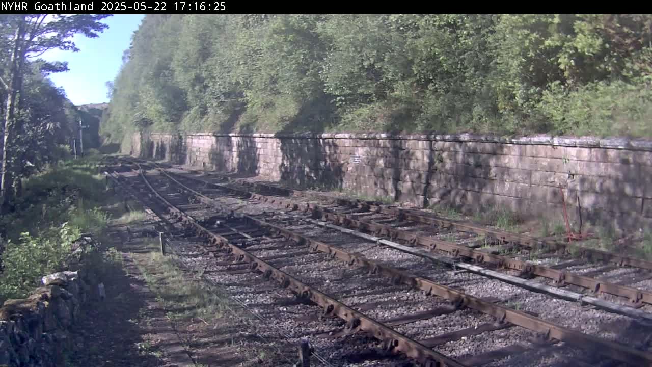 Multiple train tracks wind through a sunny, grassy area bordered by a stone wall and lush green trees.