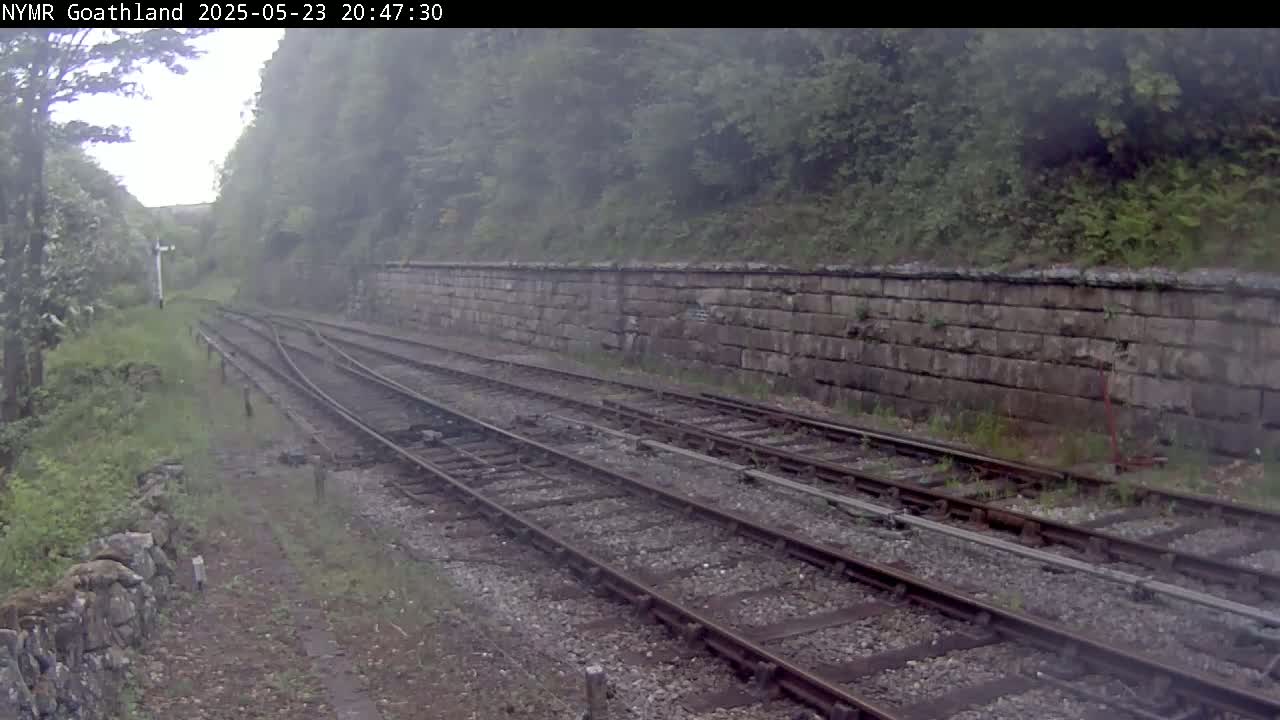 Multiple train tracks curve gently through a misty landscape beside a stone retaining wall, bordered by lush green vegetation.