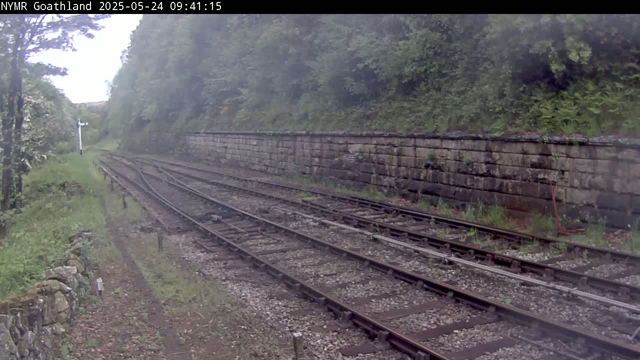 A view of train tracks splitting, running alongside a stone wall, bordered by overgrown vegetation on an overcast day.