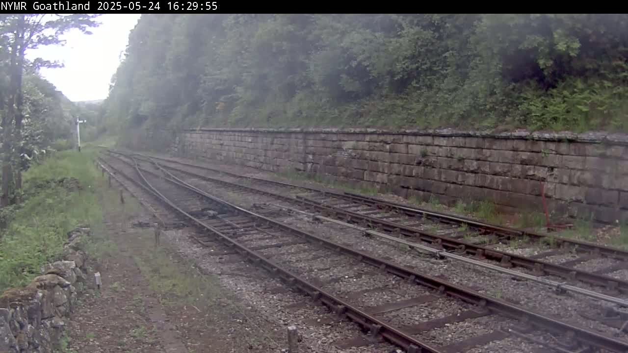 Multiple train tracks curve gently through a landscape of lush greenery and a stone wall under an overcast sky.