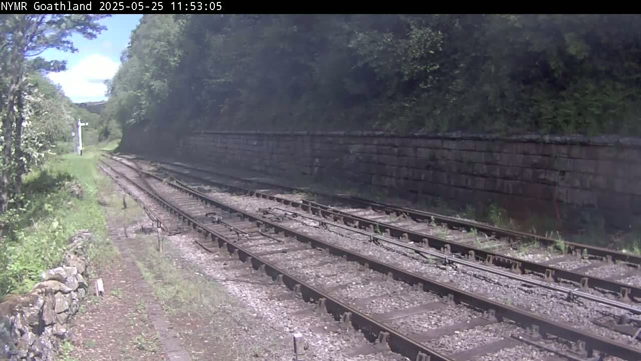 A view of multiple train tracks on a sunny day, bordered by a stone wall and lush green vegetation.